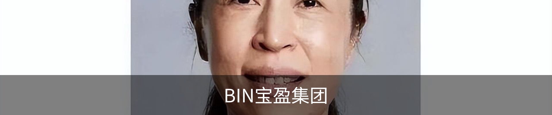 BIN宝盈集团